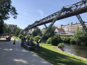 CleanUp an der Rosenau